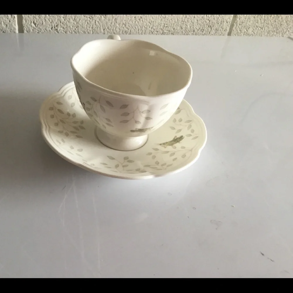 LENOX BUTTERFLY MEADOW  (Lady Bug & Grasshopper Motifs)TEA CUP‎
